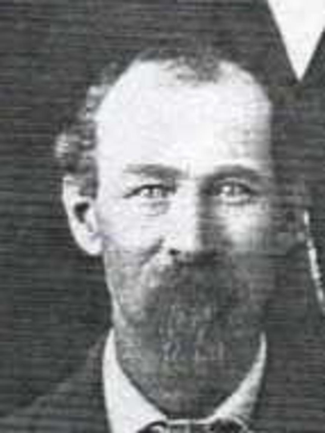 Charles Albert Dalton (1849 - 1936) Profile